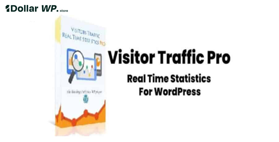 Visitor Traffic Real Time Statistics Pro